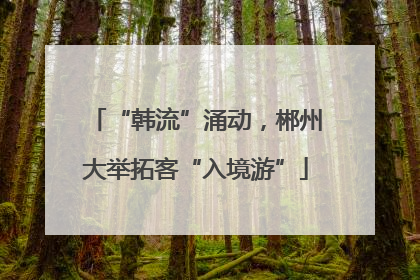 “韩流”涌动，郴州大举拓客“入境游”