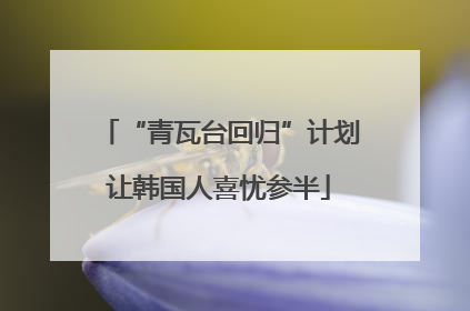 “青瓦台回归”计划让韩国人喜忧参半