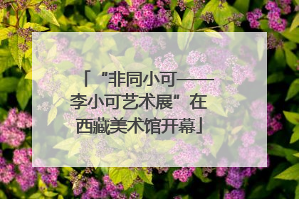 “非同小可——李小可艺术展”在西藏美术馆开幕
