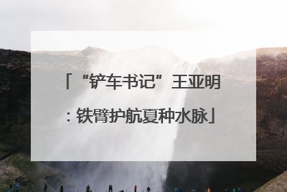 “铲车书记”王亚明：铁臂护航夏种水脉