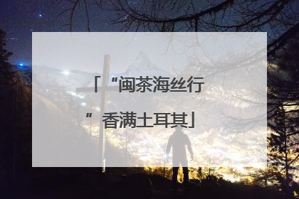 “闽茶海丝行”香满土耳其