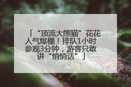 “顶流大熊猫”花花人气爆棚！排队1小时参观3分钟，游客只敢讲“悄悄话”