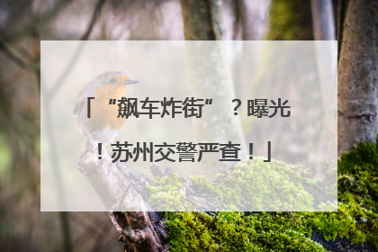 “飙车炸街”？曝光！苏州交警严查！