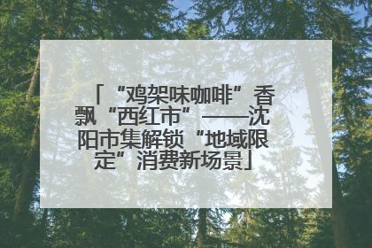 “鸡架味咖啡”香飘“西红市”——沈阳市集解锁“地域限定”消费新场景
