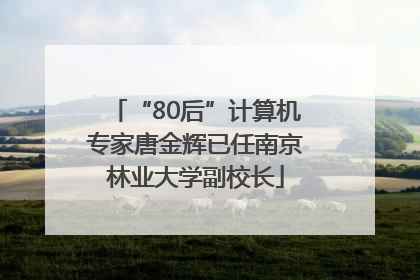 “80后”计算机专家唐金辉已任南京林业大学副校长