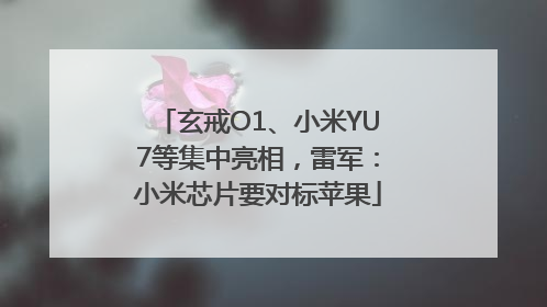玄戒O1、小米YU7等集中亮相，雷军：小米芯片要对标苹果