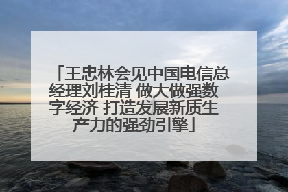 王忠林会见中国电信总经理刘桂清 做大做强数字经济 打造发展新质生产力的强劲引擎