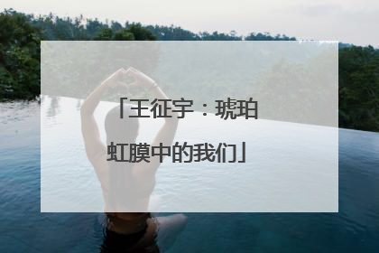 王征宇：琥珀虹膜中的我们