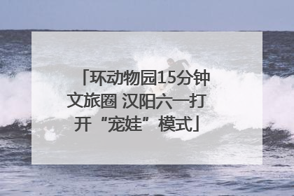 环动物园15分钟文旅圈 汉阳六一打开“宠娃”模式