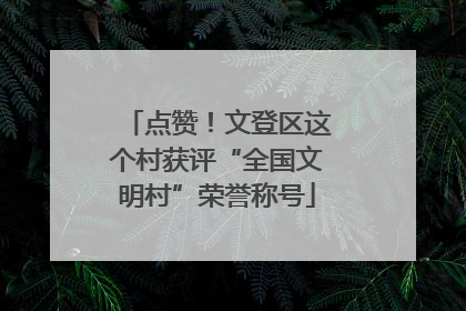 点赞！文登区这个村获评“全国文明村”荣誉称号