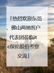 热烈欢迎东莞、佛山两地客户代表团莅临itc保伦股份考察交流