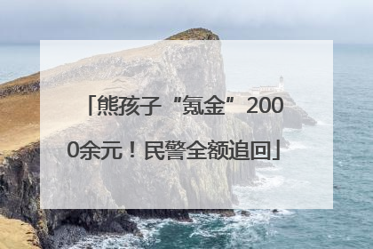 熊孩子“氪金”2000余元！民警全额追回