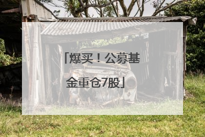 爆买！公募基金重仓7股