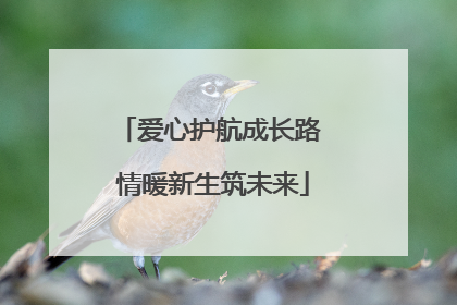爱心护航成长路 情暖新生筑未来