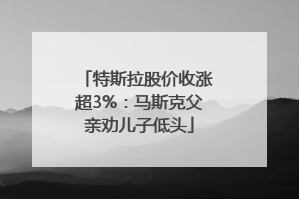 特斯拉股价收涨超3%：马斯克父亲劝儿子低头