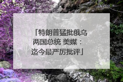 特朗普猛批俄乌两国总统 美媒：迄今最严厉批评