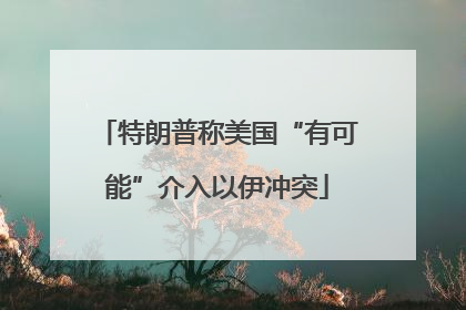特朗普称美国“有可能”介入以伊冲突