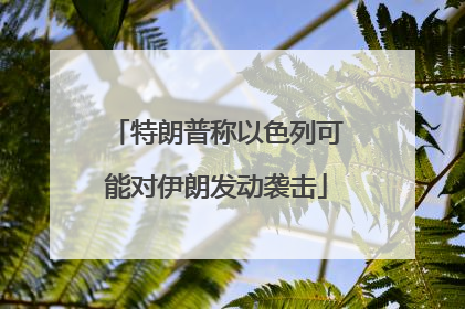 特朗普称以色列可能对伊朗发动袭击