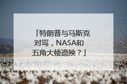 特朗普与马斯克对骂，NASA和五角大楼遭殃？