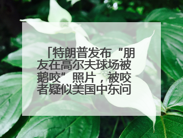 特朗普发布“朋友在高尔夫球场被鹅咬”照片，被咬者疑似美国中东问题特使