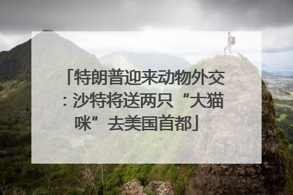 特朗普迎来动物外交：沙特将送两只“大猫咪”去美国首都