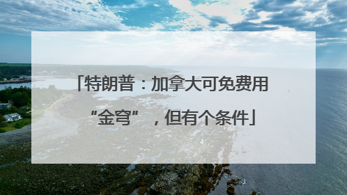 特朗普：加拿大可免费用“金穹”，但有个条件