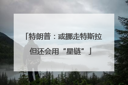 特朗普：或挪走特斯拉 但还会用“星链”
