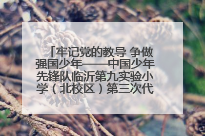 牢记党的教导 争做强国少年——中国少年先锋队临沂第九实验小学（北校区）第三次代表大会胜利召开