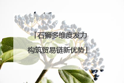 石狮多维度发力 构筑贸易链新优势