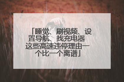 睡觉、刷视频、设置导航、找充电器 这些高速违停理由一个比一个离谱
