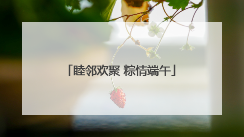 睦邻欢聚 粽情端午
