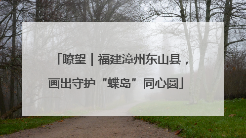 瞭望｜福建漳州东山县，画出守护“蝶岛”同心圆