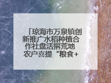 琼海市万泉镇创新推广水稻种植合作社盘活撂荒地 农户喜提“粮食+钞票”分红