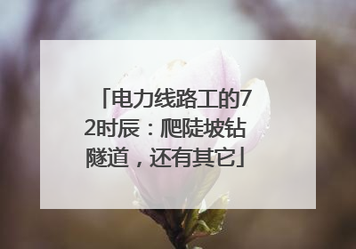 电力线路工的72时辰：爬陡坡钻隧道，还有其它