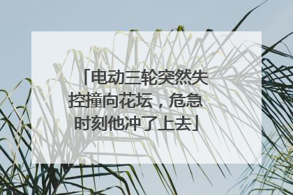 电动三轮突然失控撞向花坛，危急时刻他冲了上去