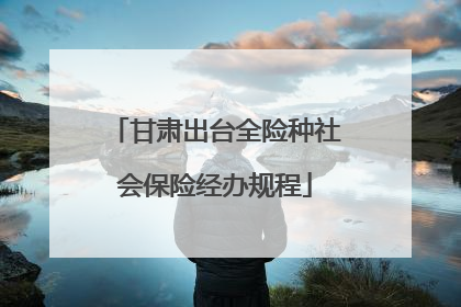 甘肃出台全险种社会保险经办规程