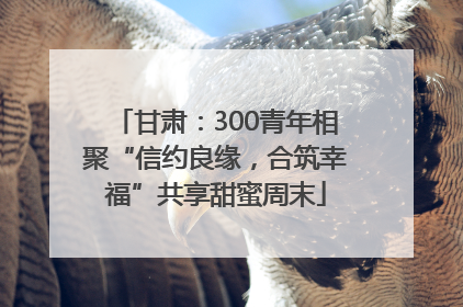 甘肃：300青年相聚“信约良缘，合筑幸福”共享甜蜜周末