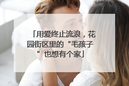 用爱终止流浪，花园街区里的“毛孩子”也想有个家
