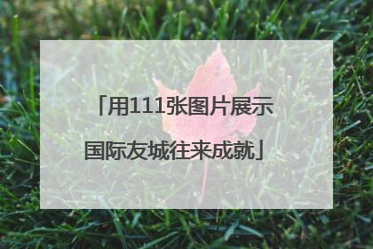 用111张图片展示国际友城往来成就