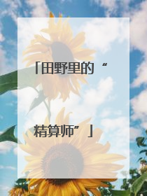 田野里的“精算师”