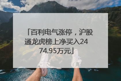 百利电气涨停，沪股通龙虎榜上净买入2474.95万元