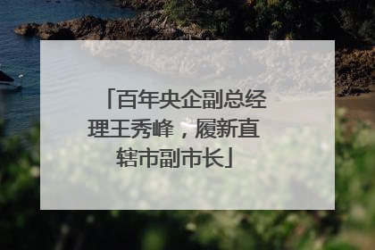 百年央企副总经理王秀峰，履新直辖市副市长