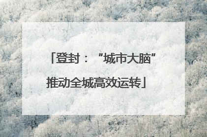 登封：“城市大脑”推动全城高效运转