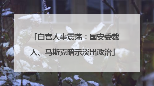 白宫人事震荡：国安委裁人、马斯克暗示淡出政治