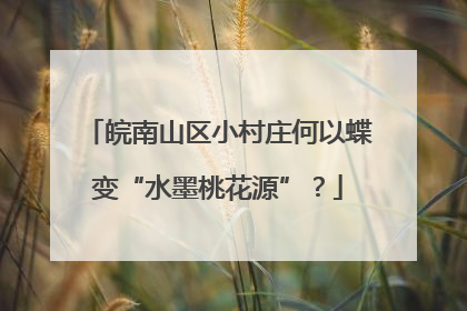 皖南山区小村庄何以蝶变“水墨桃花源”？