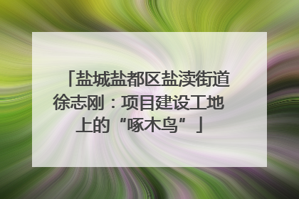 盐城盐都区盐渎街道徐志刚：项目建设工地上的“啄木鸟”
