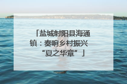 盐城射阳县海通镇：奏响乡村振兴“夏之华章”