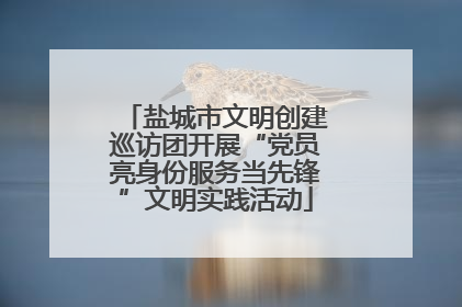 盐城市文明创建巡访团开展“党员亮身份服务当先锋”文明实践活动
