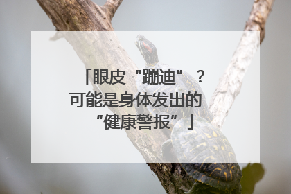 眼皮“蹦迪”？可能是身体发出的“健康警报”