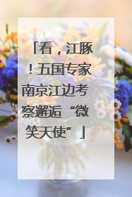 看，江豚！五国专家南京江边考察邂逅“微笑天使”